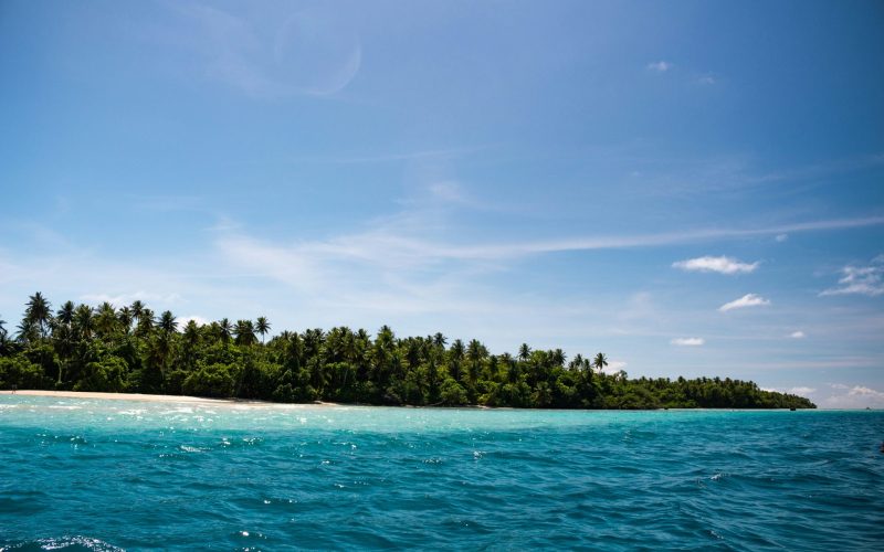 adrian-smith-d779xu7rxQs-unsplash